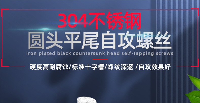 304不锈钢PB十字圆头平尾自攻螺丝_01_01.jpg