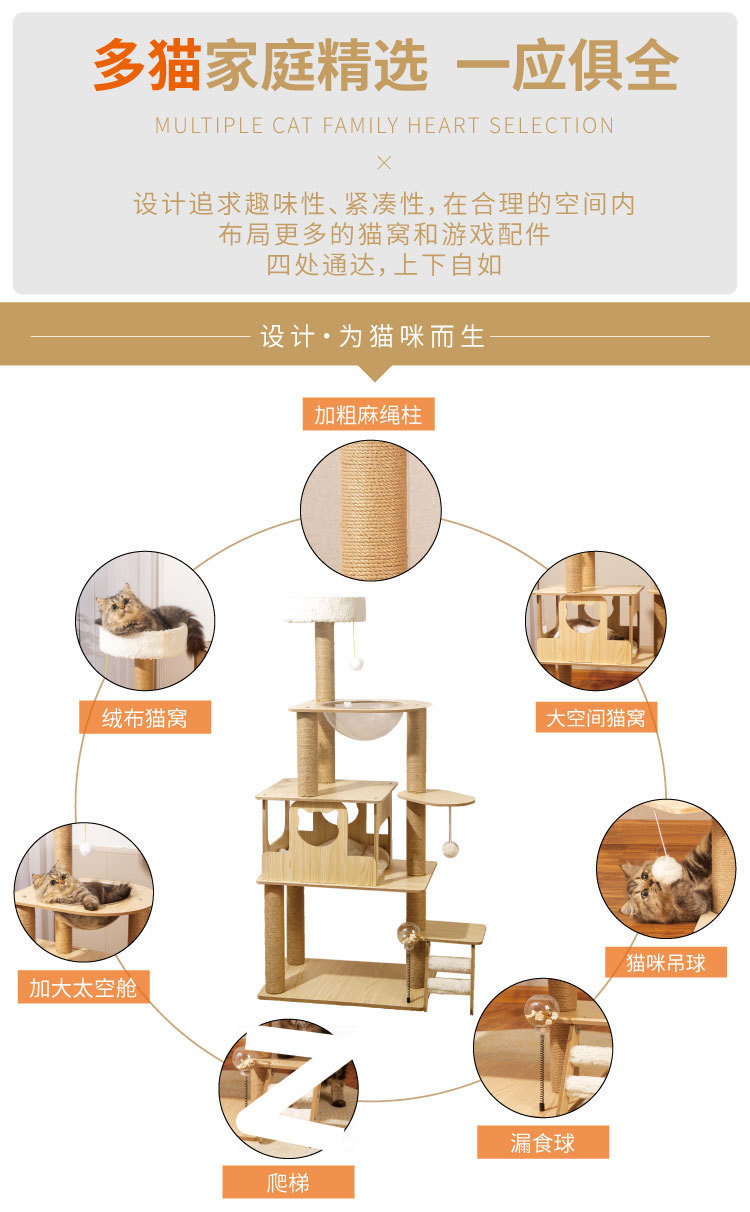 1b6424cb-21f7-4b18-a781-8399c4918f7a.jpe