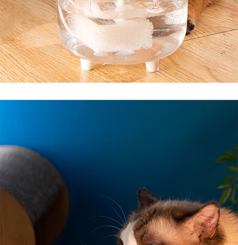 0c6cac6d-3f9b-401a-806a-1f15b98efffe.jpe