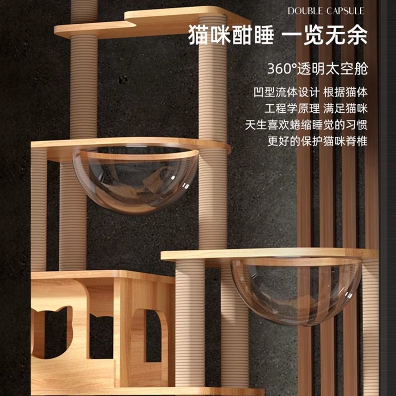 2de612da-bbd0-4649-9890-201a4886d5b4.jpe