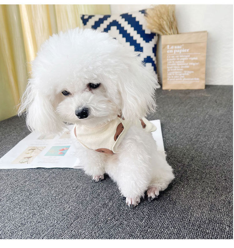 依贝儿衣服模版_04