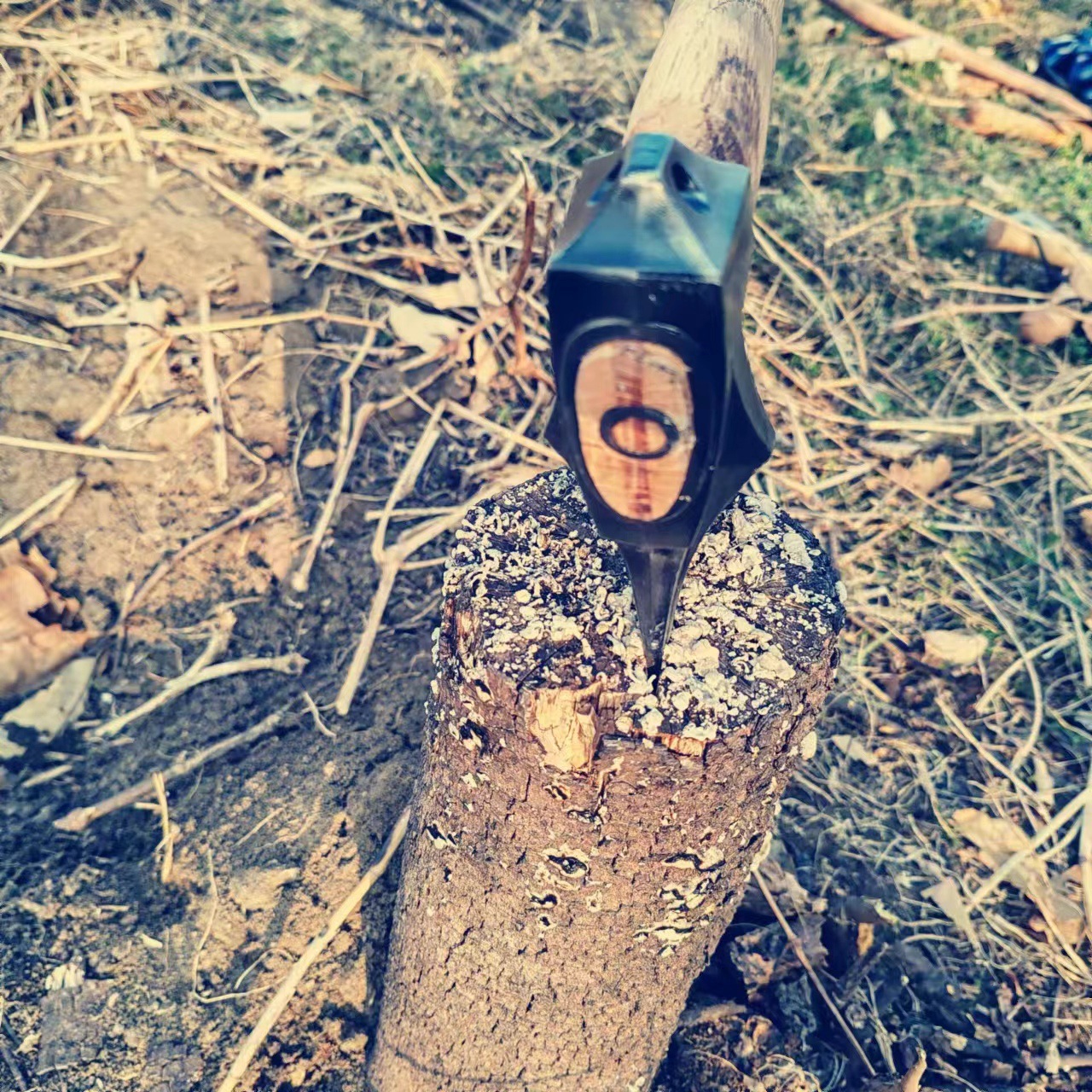 微信图片_20240305165420