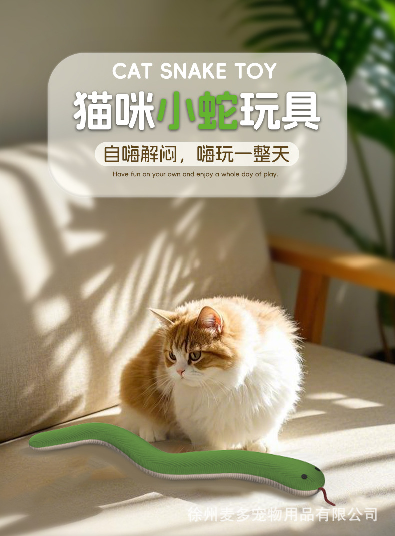 详情_01.jpg