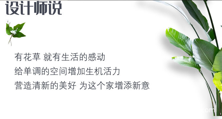 外星人详情_03.jpg