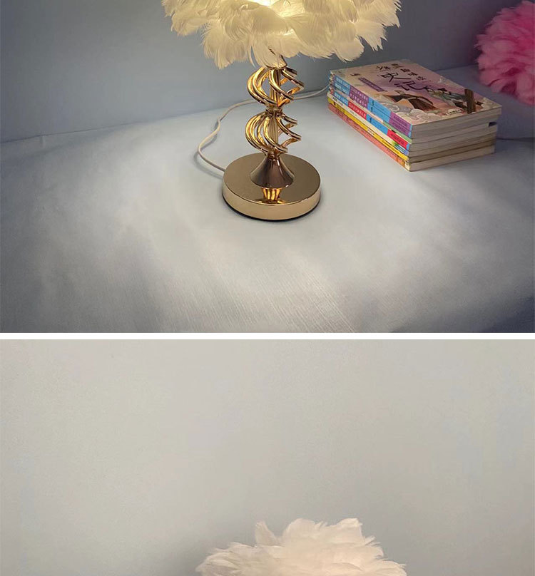 T6002羽毛台灯详情图_08.jpg