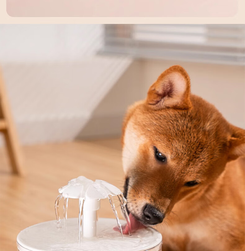 63217e4a-5613-4585-b879-40e09493342d.jpe