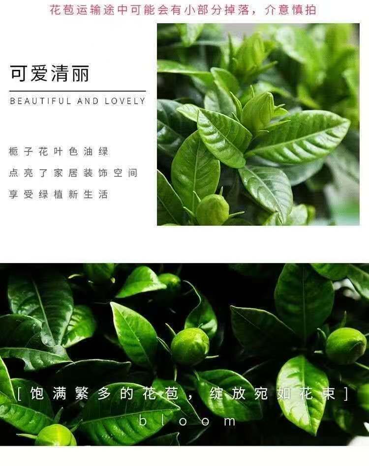 56b4b1ed-0631-4dd3-af38-1a7382a0dd61.jpe