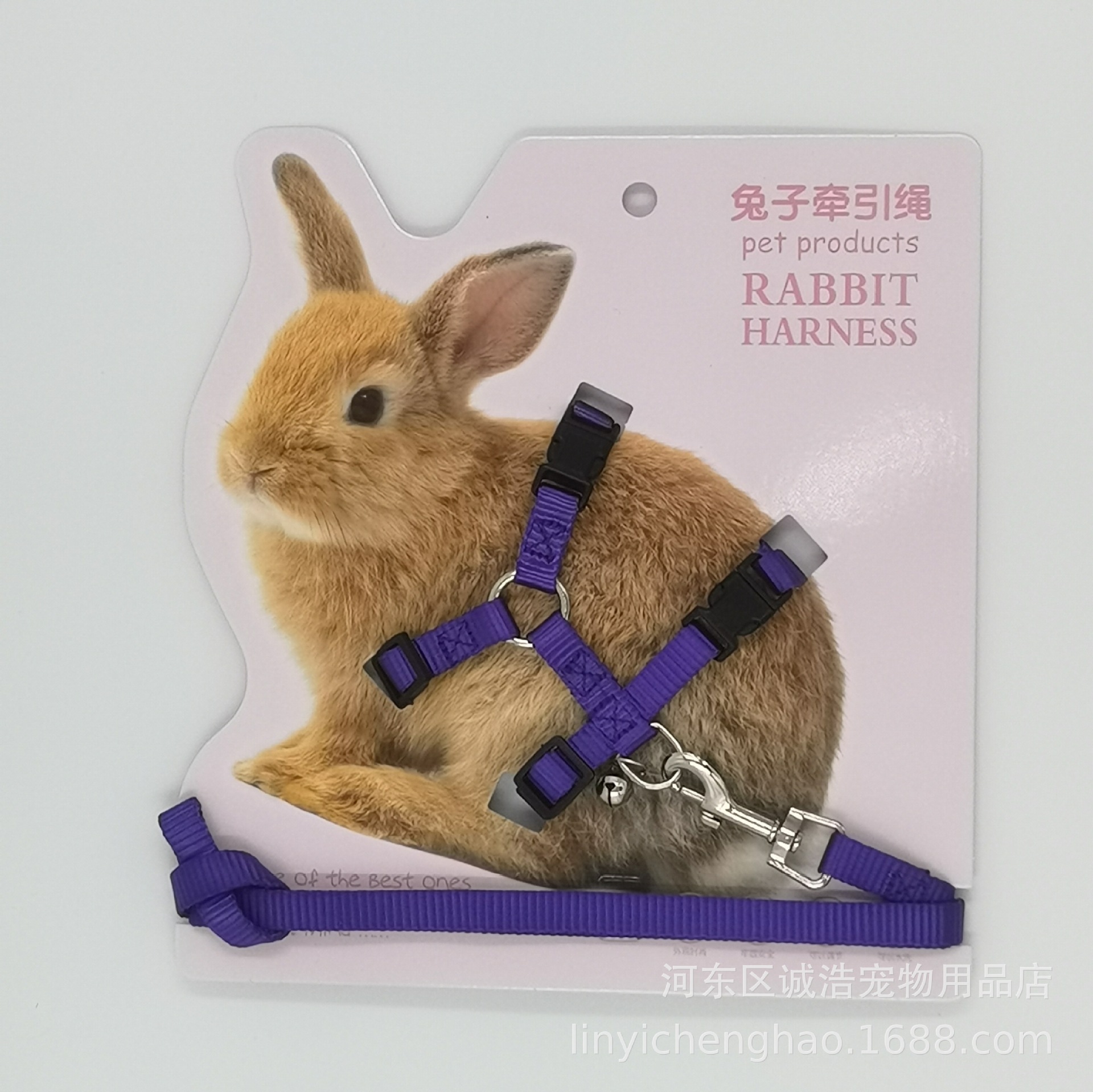 IMG_20230322_202101_edit_12299