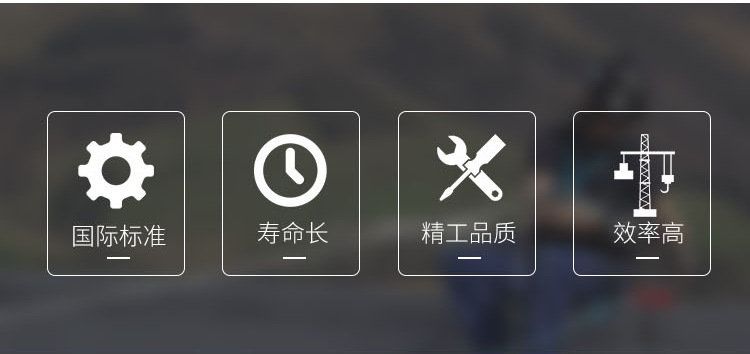 O1CN015WG5E021RLiRWkOFb_!!1587
