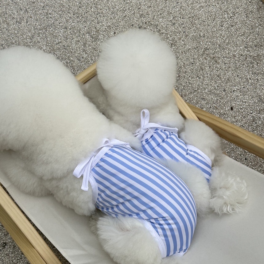 微信图片_20230530161749