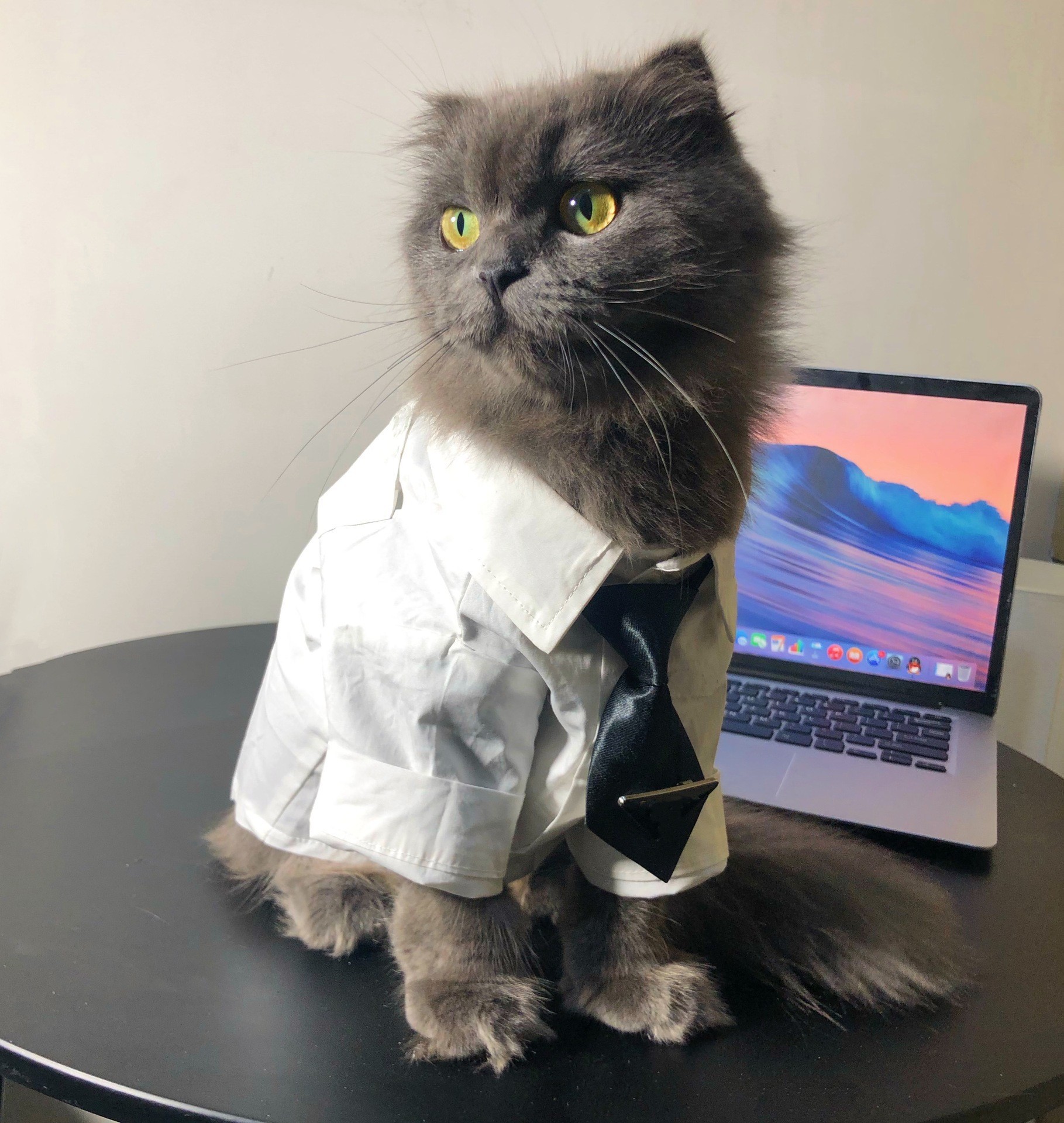 O1CN01vjebkZ1TQFtJ4Vc3D_!!2215