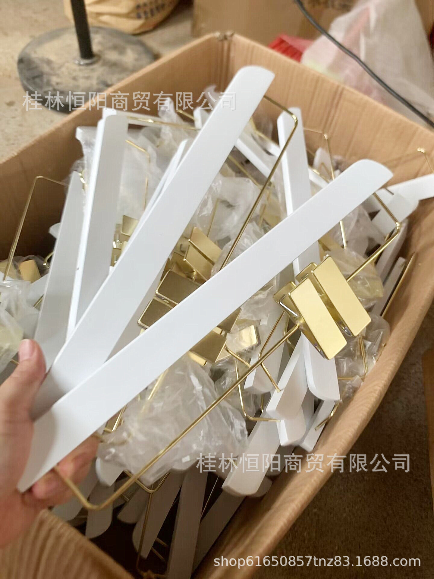 QQ图片20230620142903