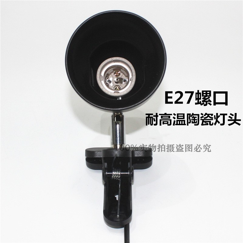 11402218674_1905942197