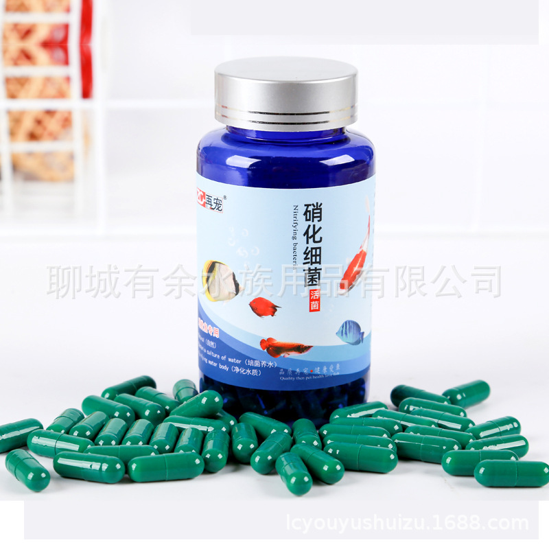 白底图800硝化细菌胶囊02.jpg