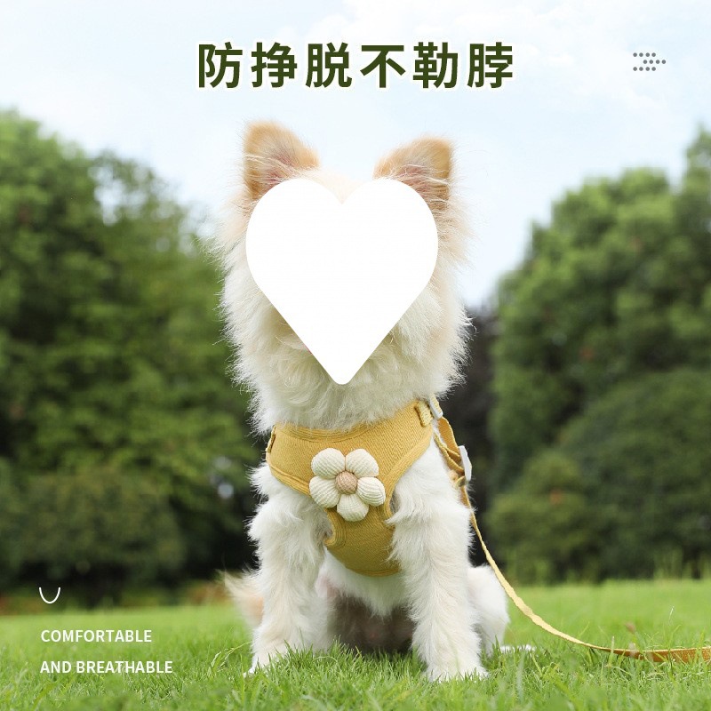 微信图片_20250405175610