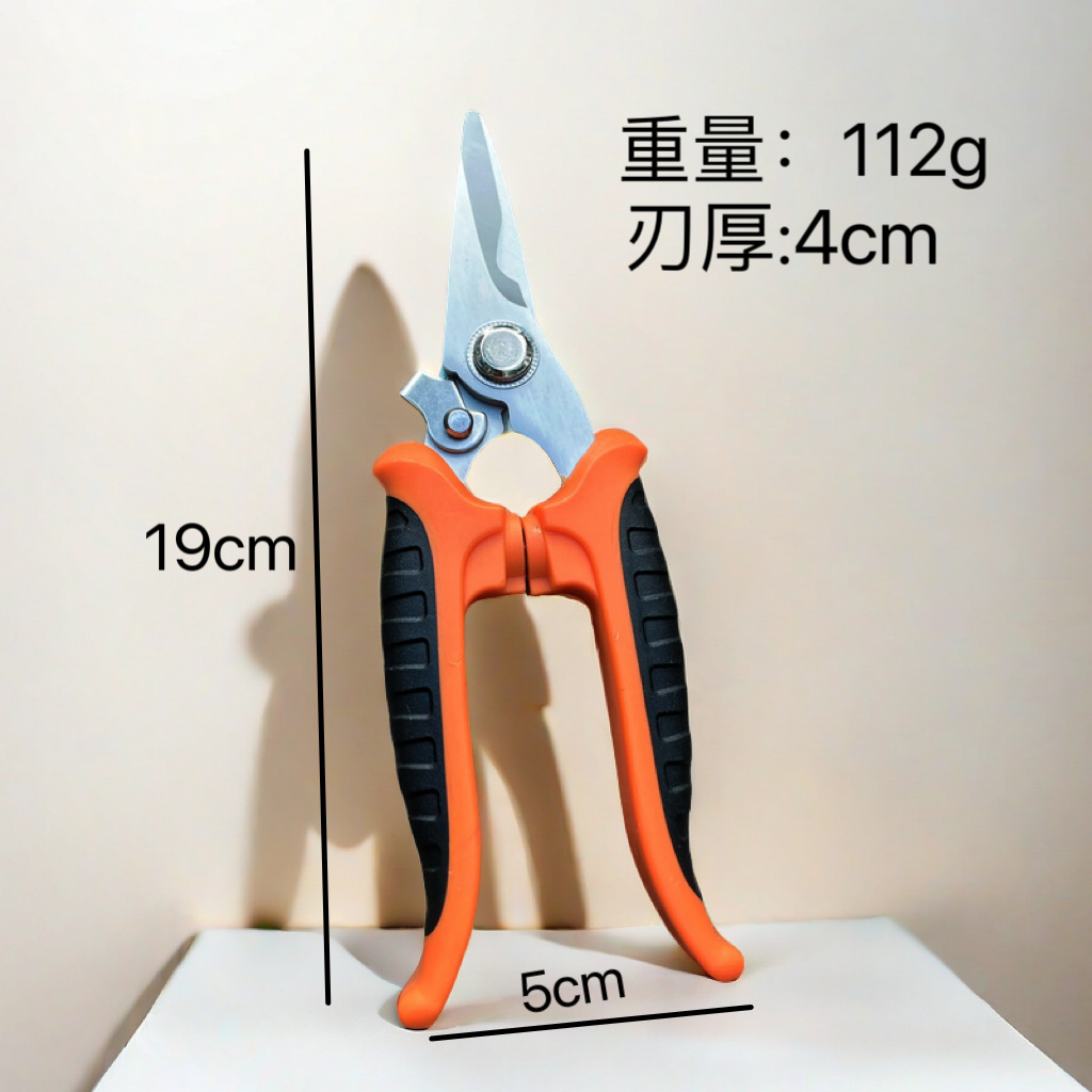 微信图片_20241103152652