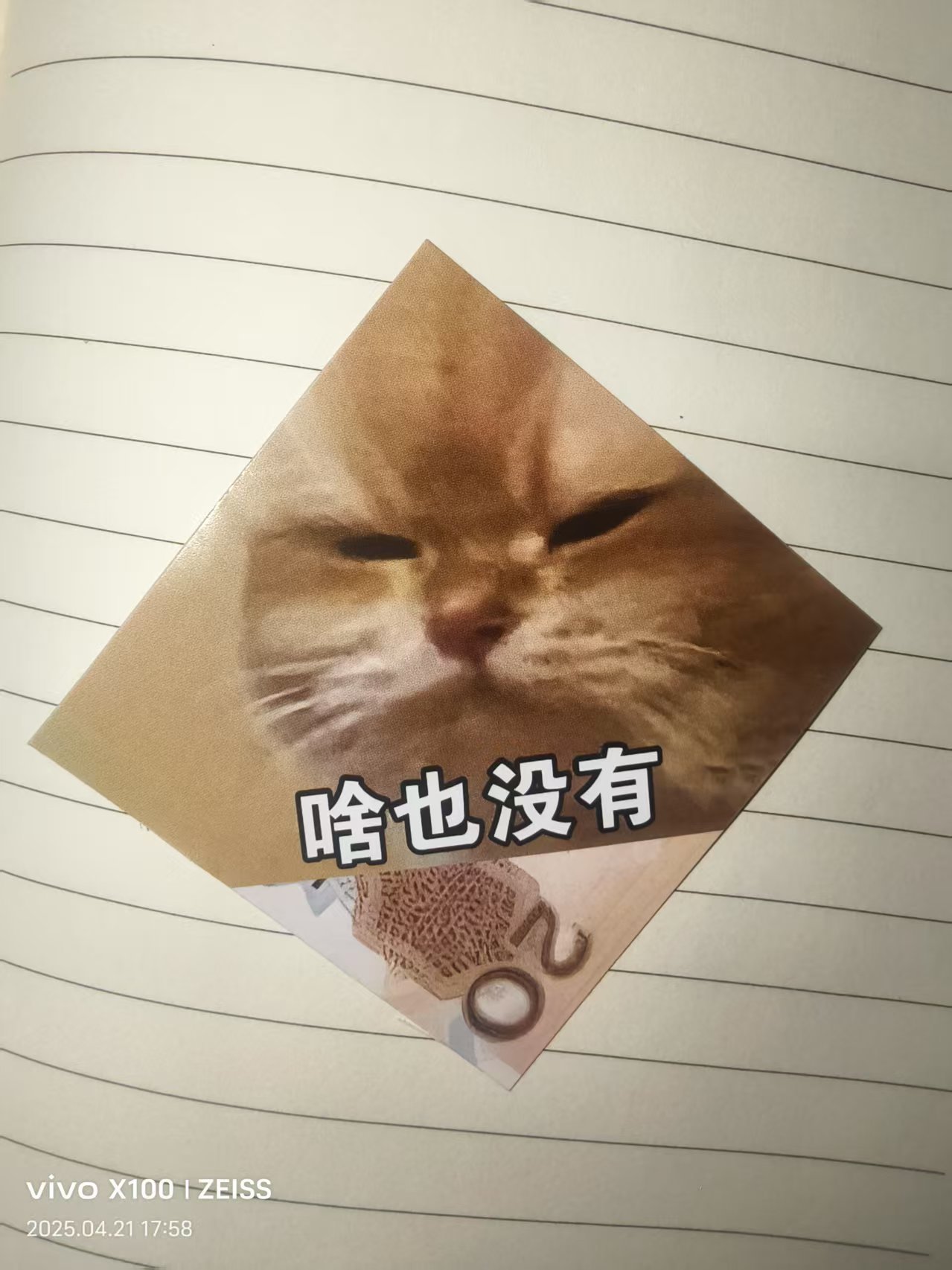 微信图片_202504211800451