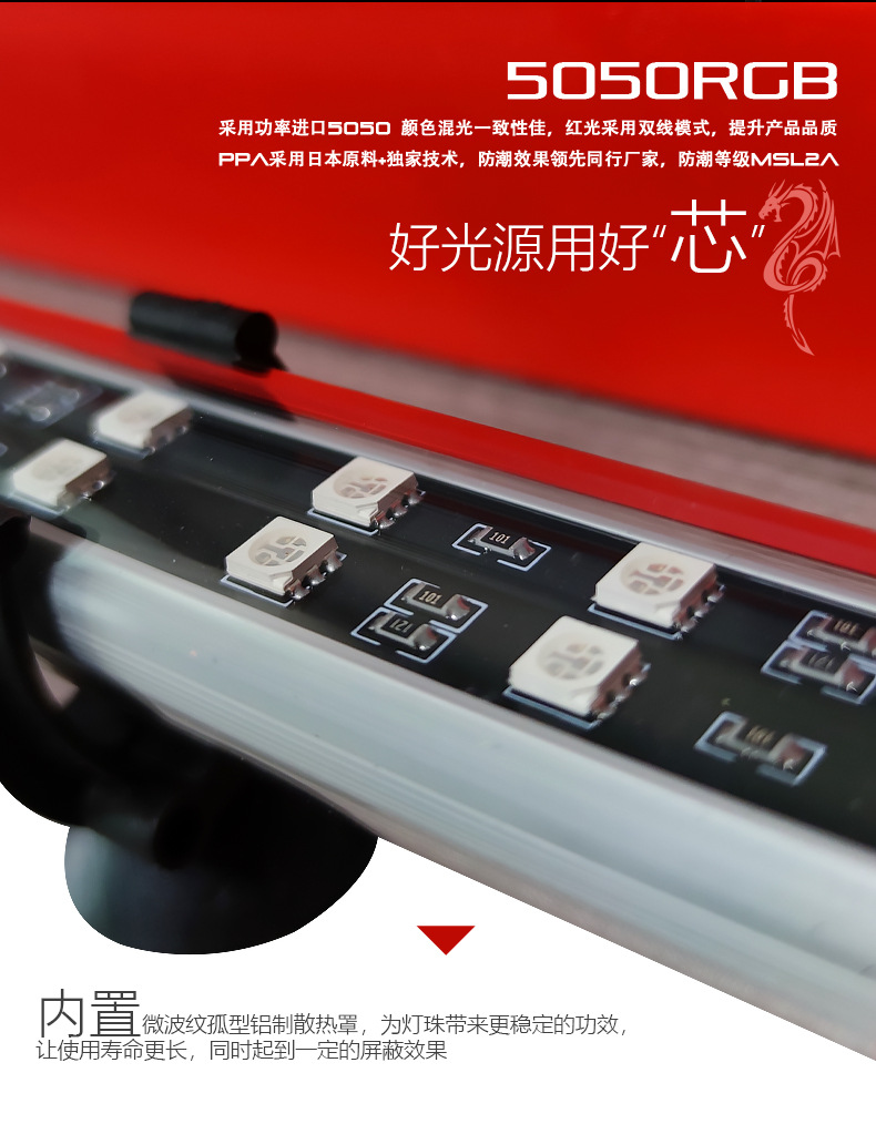 龙鱼灯_02.jpg