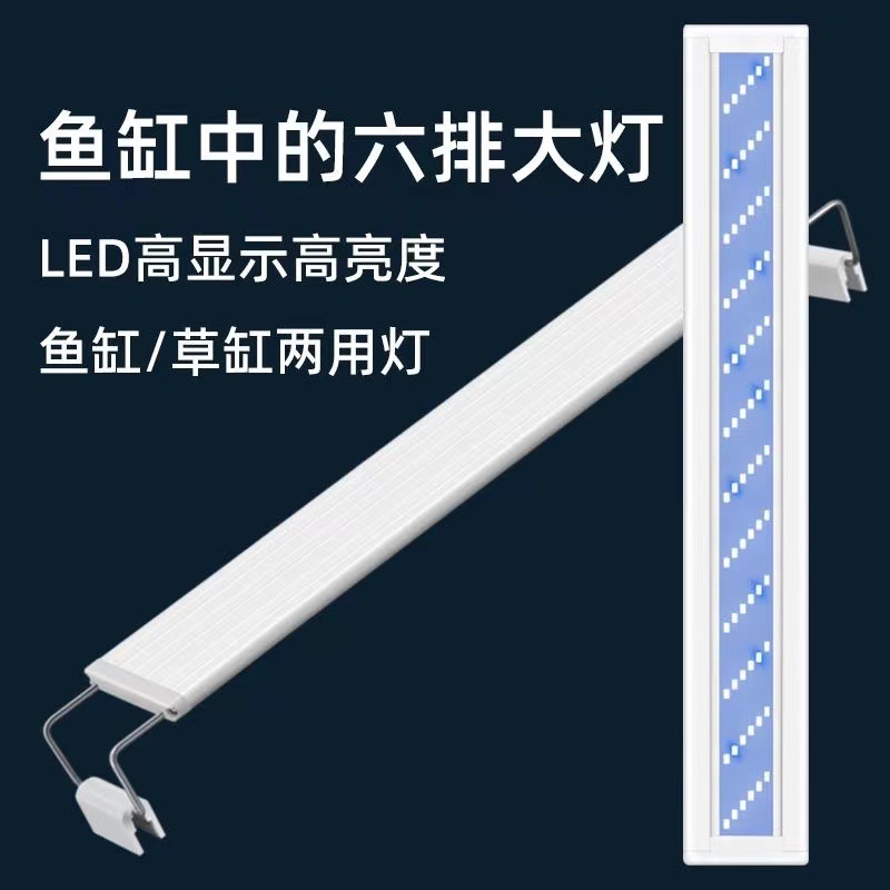 bf796dbd-7445-4eaa-9f56-cc90411edd55.jpe