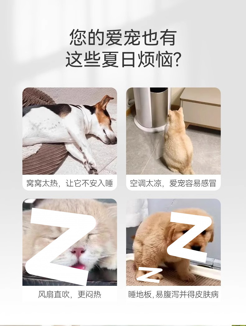ca395a24-8188-43e7-a60b-a494246e9868.jpe