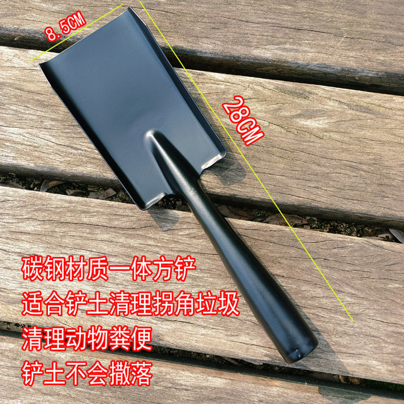 8c8f2e05-6c59-4b25-8019-44eb968f2d95.jpe