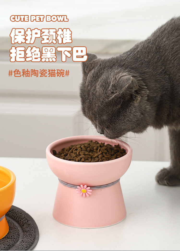 宠物碗_01.jpg