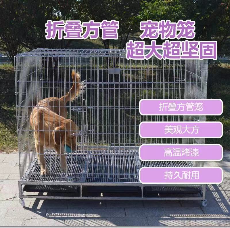 微信图片_20201214135200