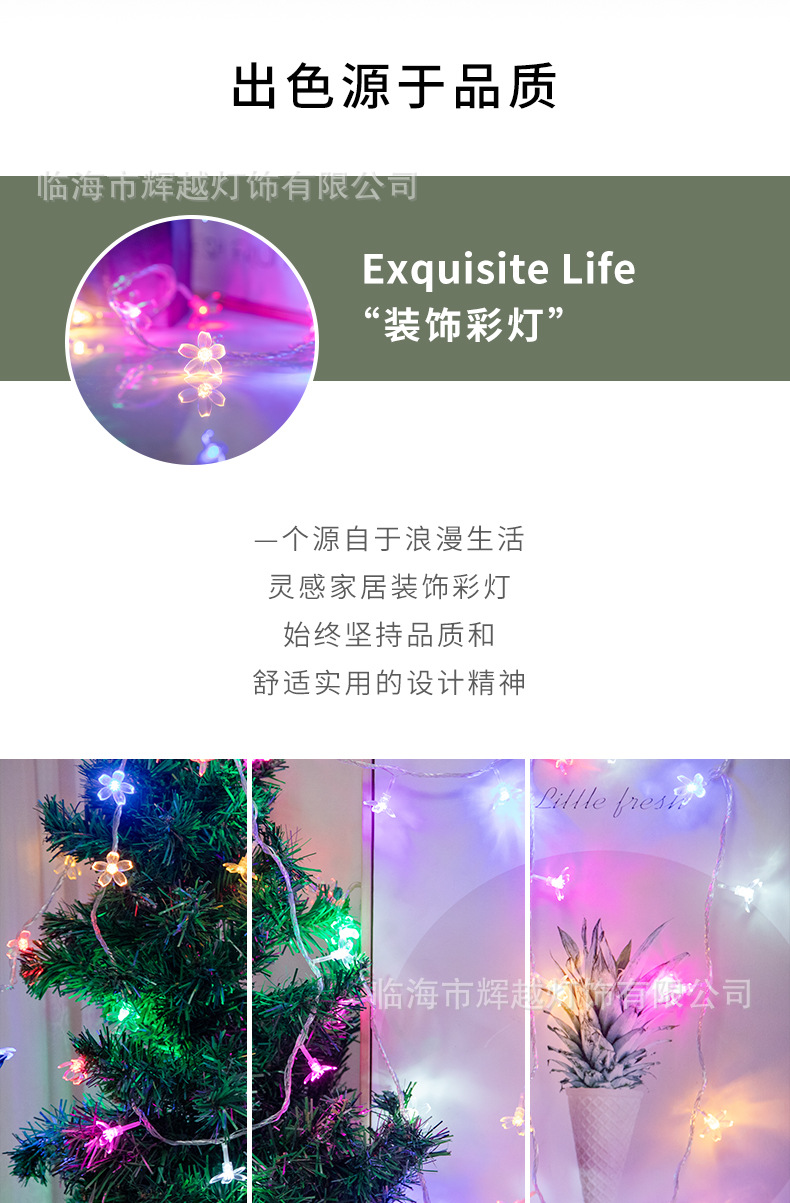 15-LED小樱花灯串_02.jpg
