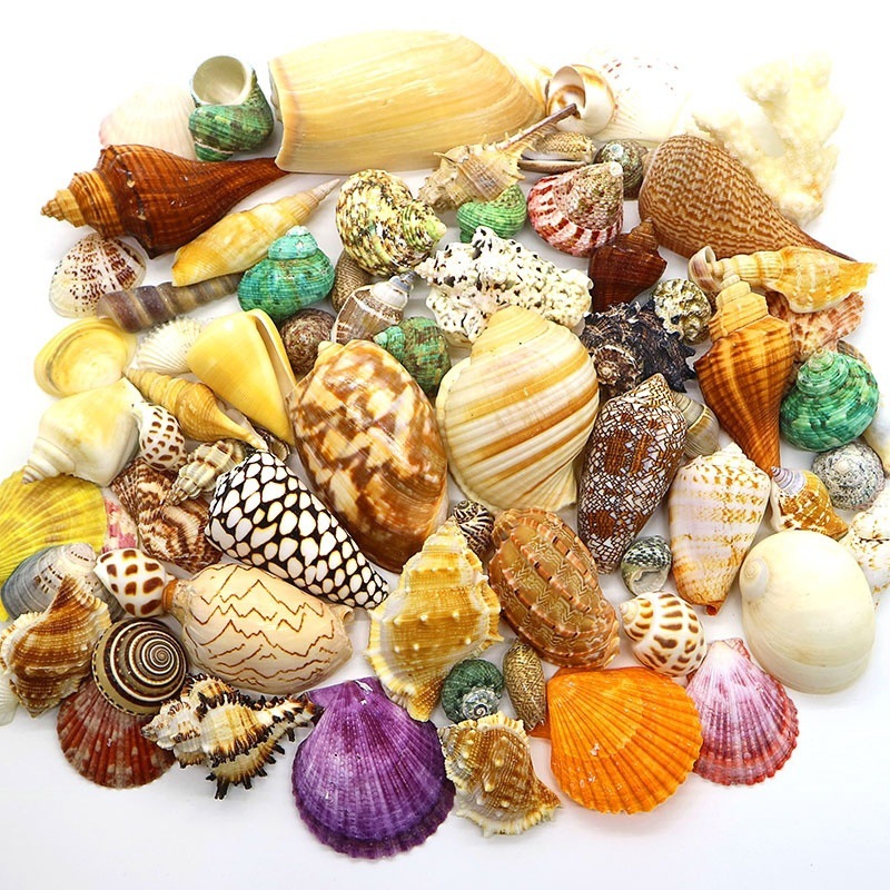 ff6f71f7-631b-4844-8602-b4cd1f00b3c4.jpe