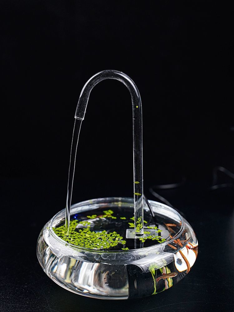 e32f47ea-118a-42a6-8539-62ac0c7d790f.jpe