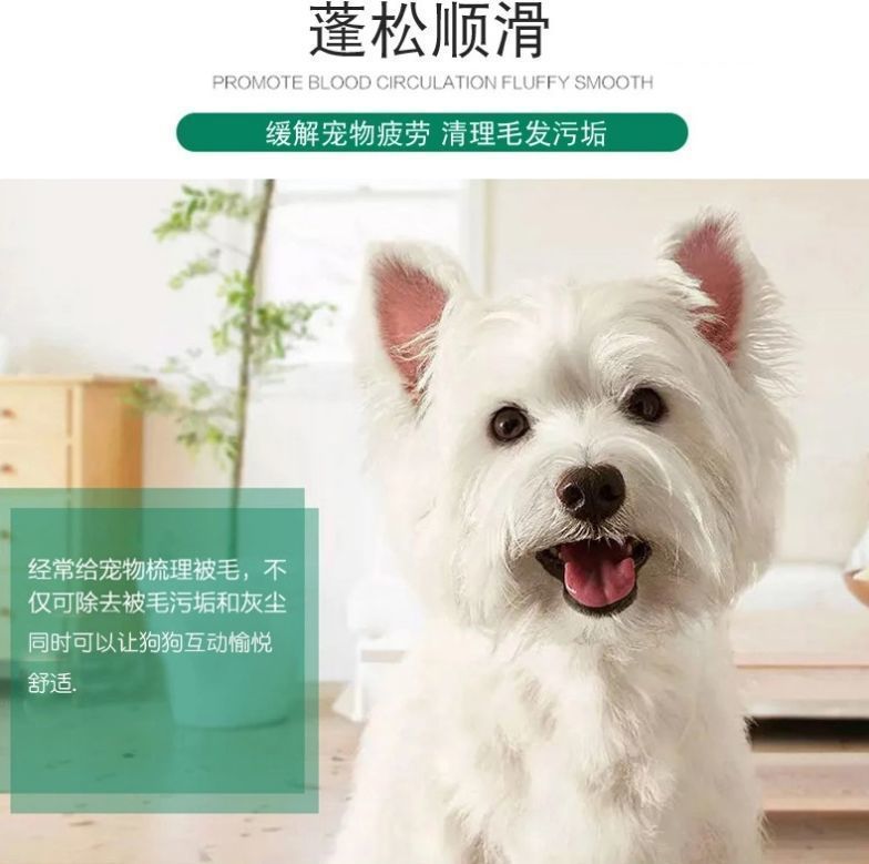 6bee37d2-e97c-46e5-8080-1689e259a970.jpe