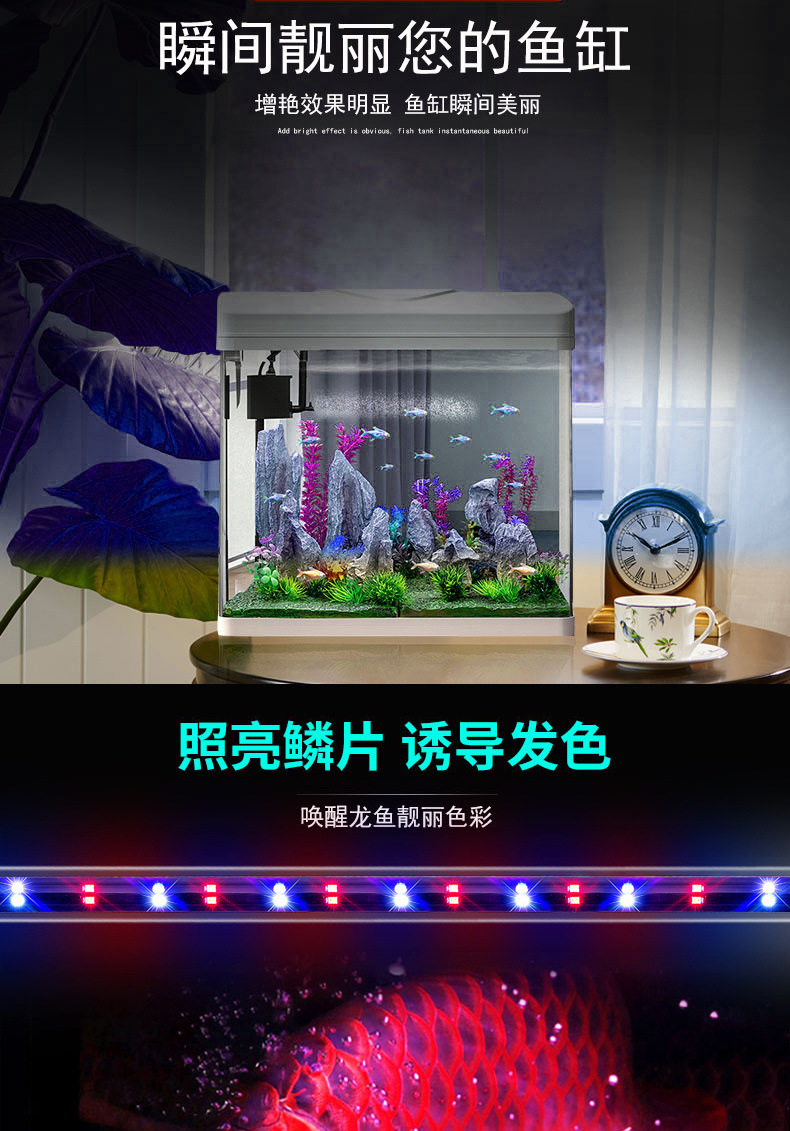 fa5c67e0-4edb-4bd3-9d7b-31c34c6addec.jpe