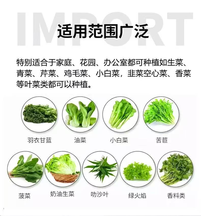 微信图片_20250607151640