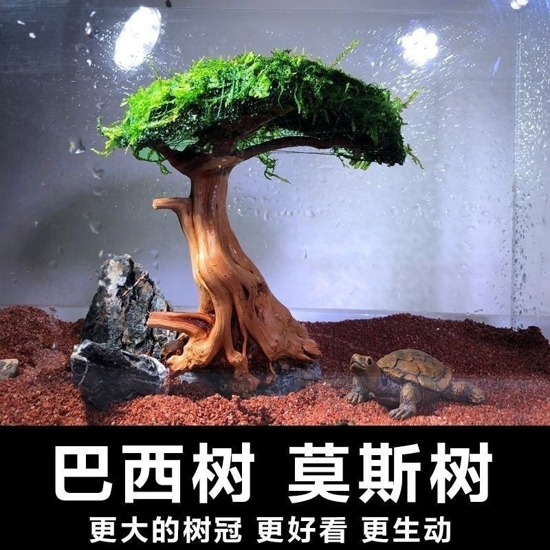 df70d3eb-e39a-4339-b8cc-9167d3f1233a.jpe