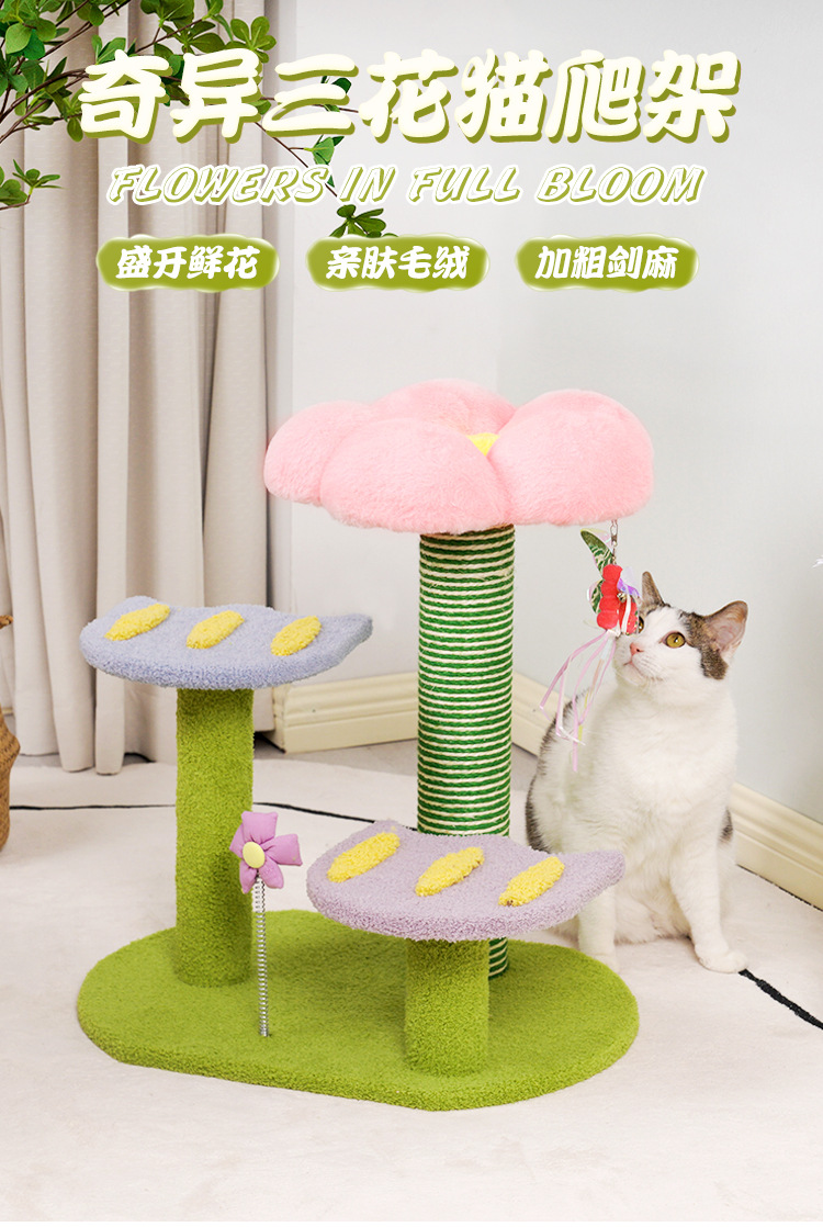 详情_01.jpg