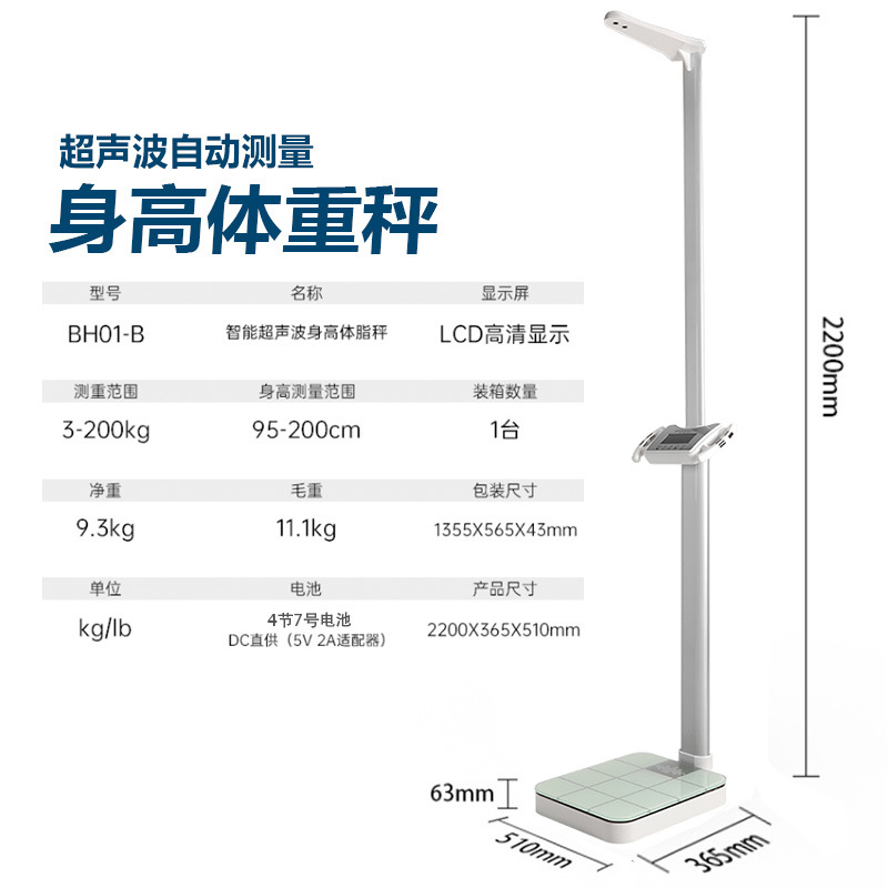BH01-(11)