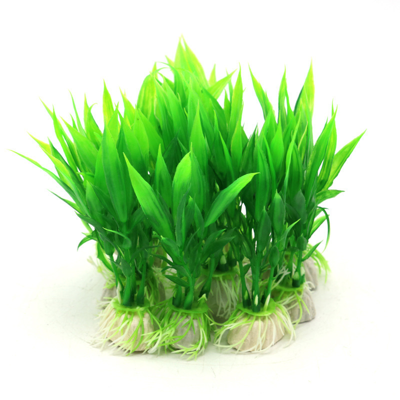 O1CN01r0OYXm1I68Z0bx5CR_!!3391