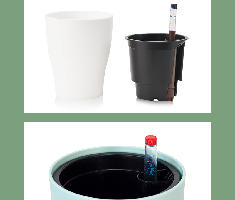 绿萝盆绿植花盆