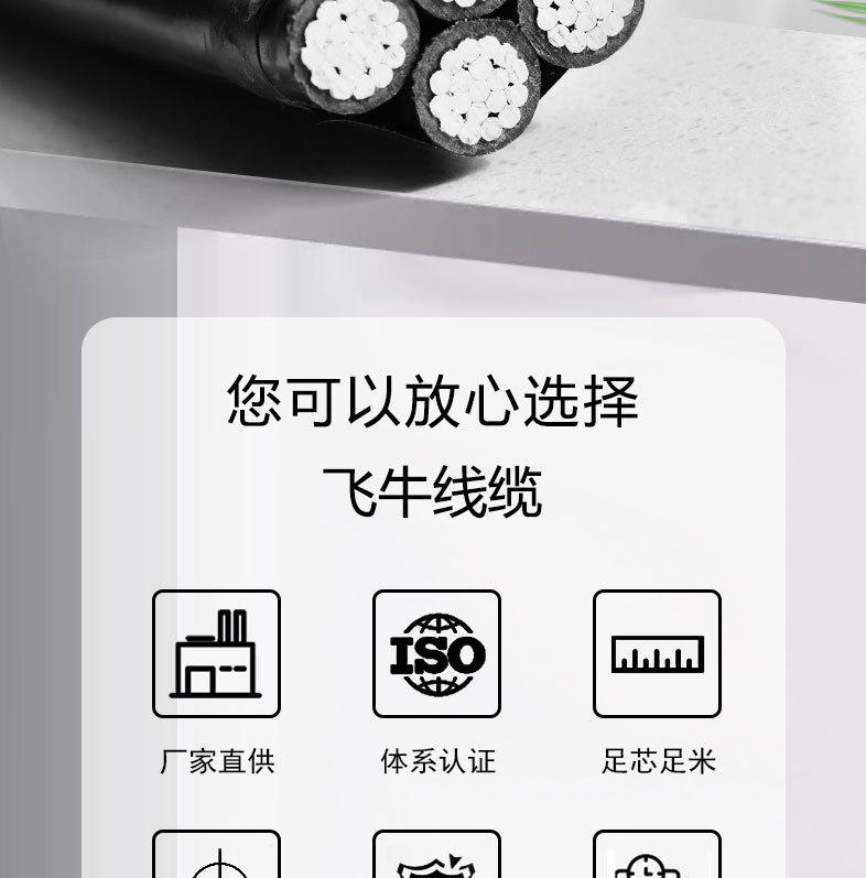 集束导线-详情_02.jpg