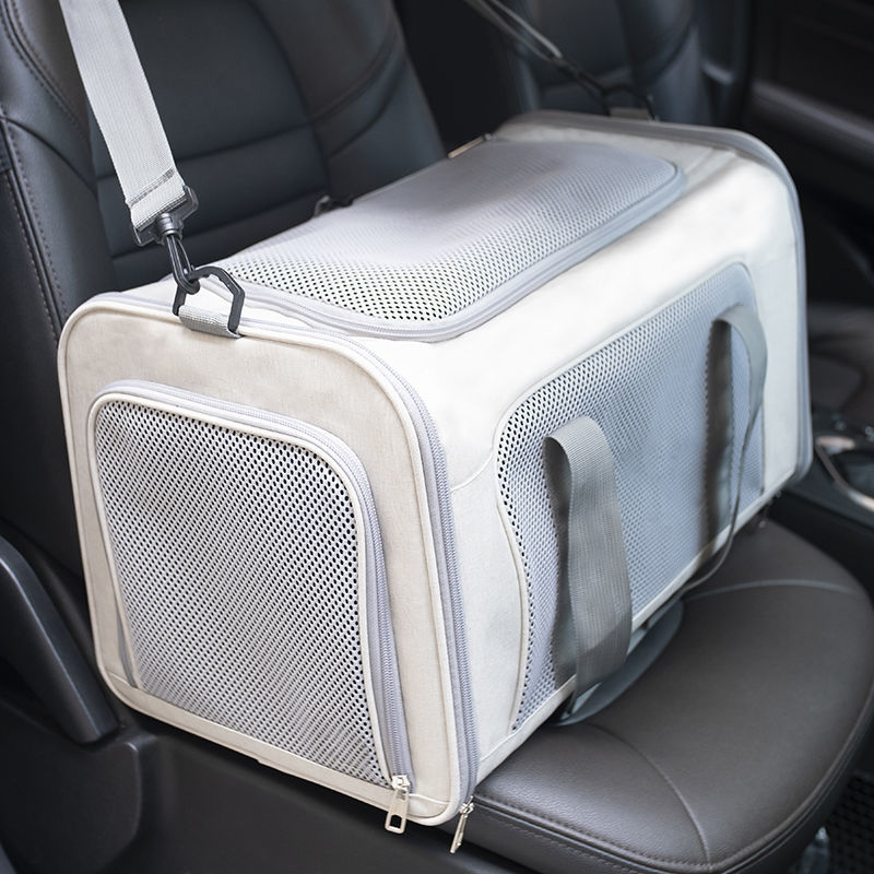 4b35a8d3-93bb-4304-9fc4-c87db962bbbe.jpe