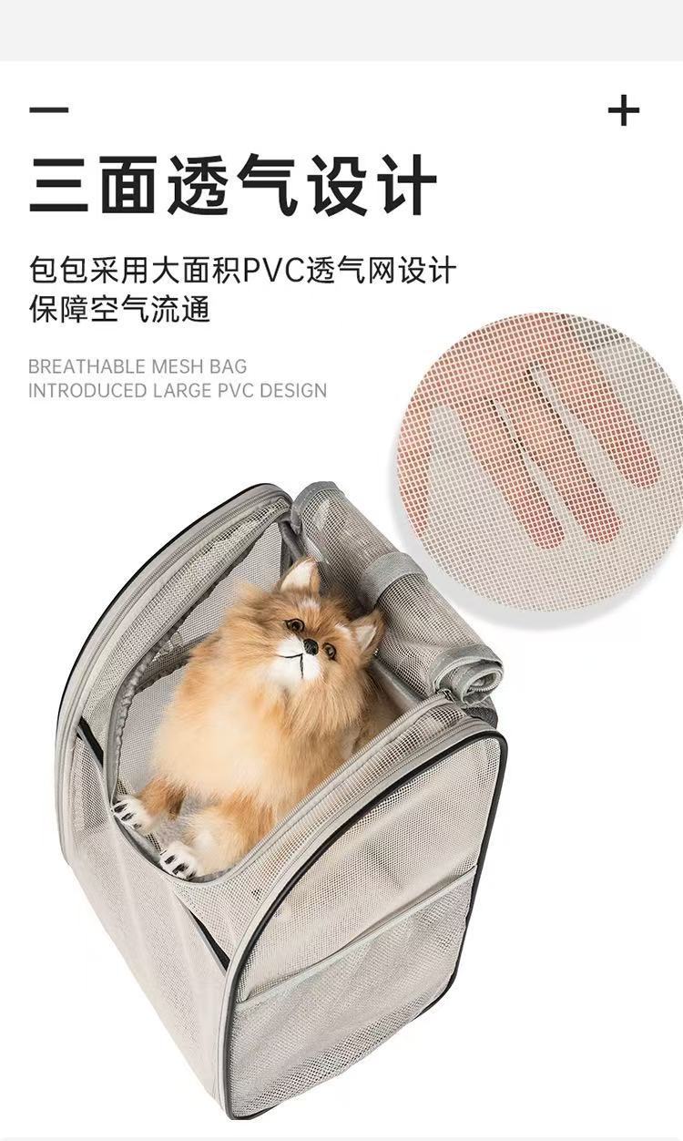 微信图片_20250511115700_312