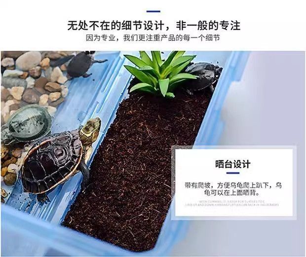 efea97c6-eb65-4ccc-bcd0-3a13dfb4fbc8.jpe