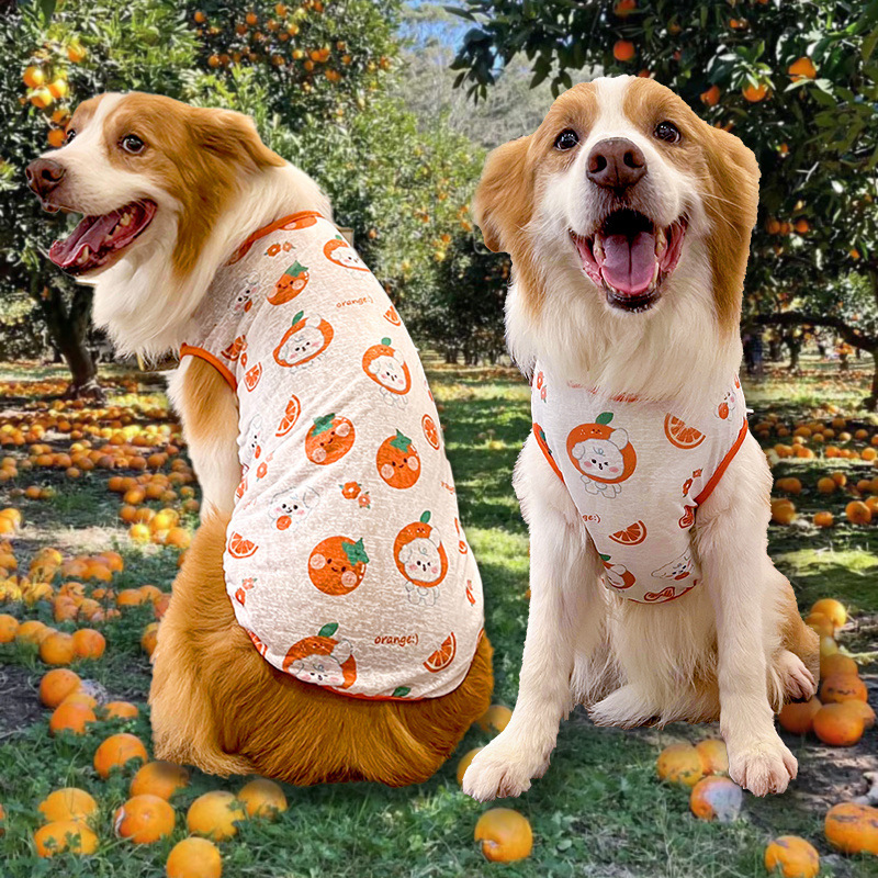 b6d0fda5-d39c-45c5-b358-990ce35132ec.jpe