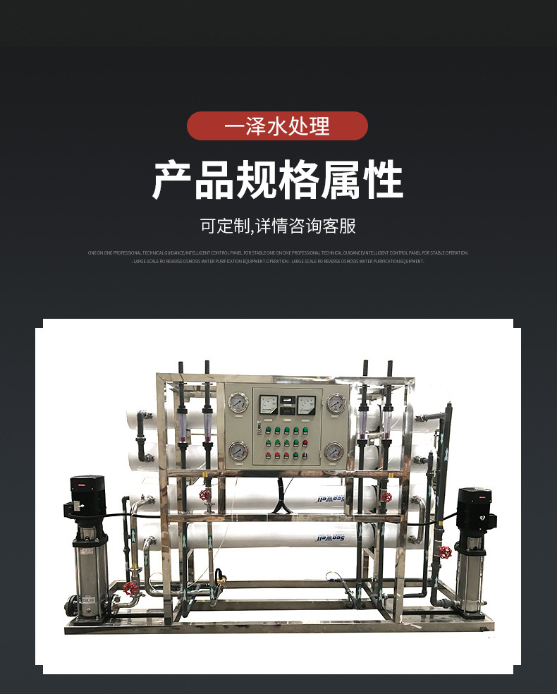 5吨双级反渗透详情_10.jpg