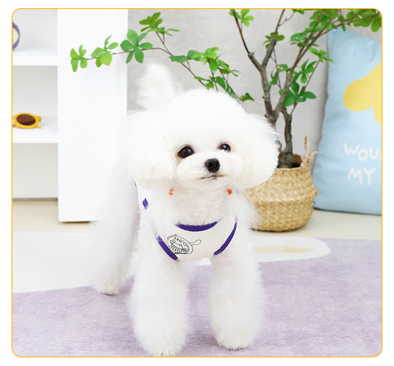 23快乐狮子背心