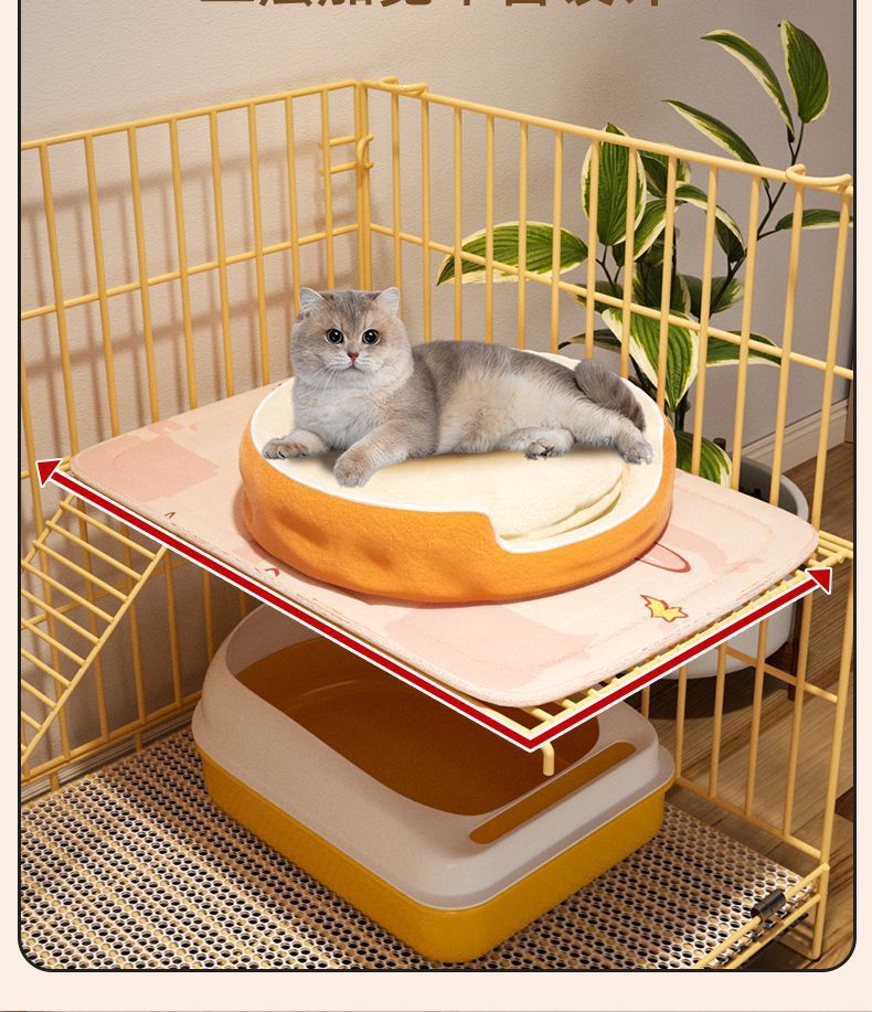 0498e456-137c-45dc-b343-55d98ff8f4ac.jpe