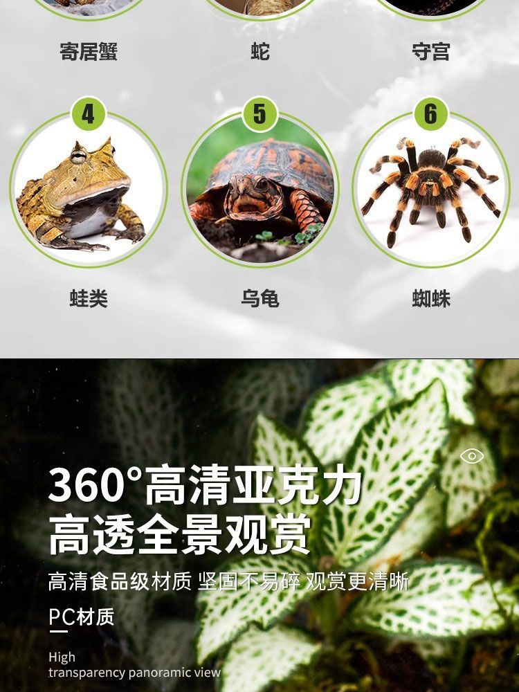 b200e0e1-a436-4798-a357-e688dd10c49d.jpe