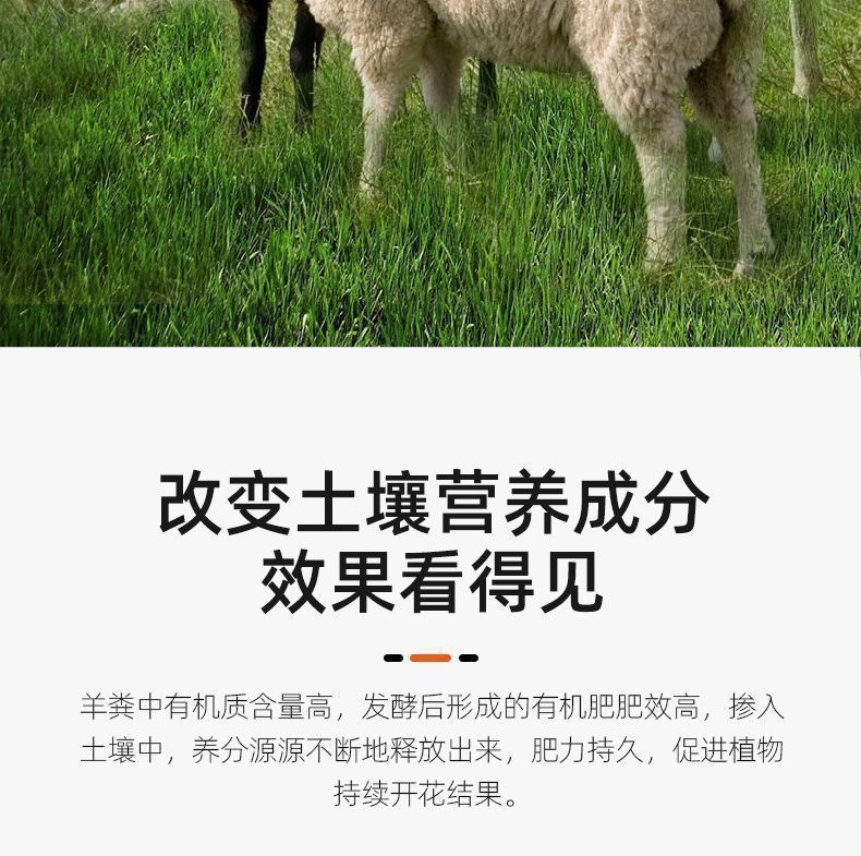 e7a98e00-e29e-430e-bbfa-00d4bce1e25f.jpe