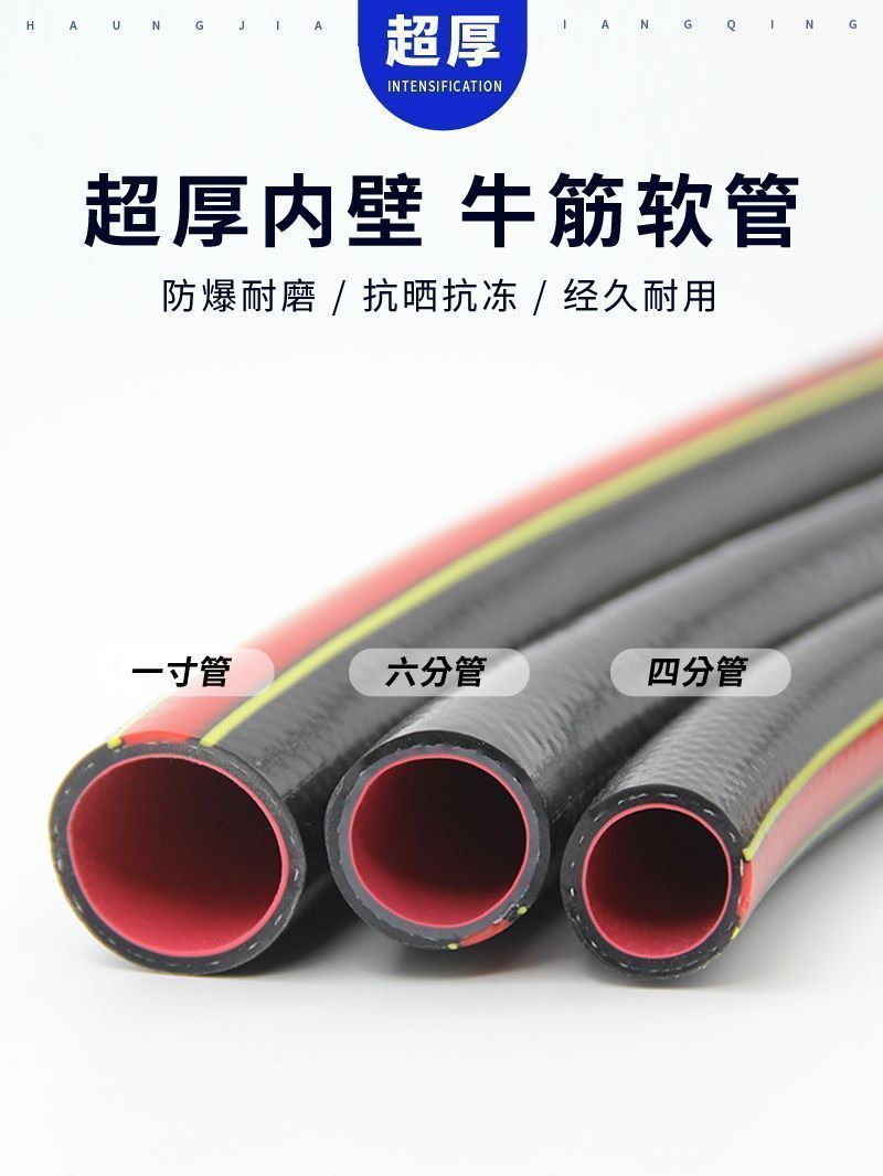 46ef6368-15e0-451a-9384-86b5aae1b8a9.jpe