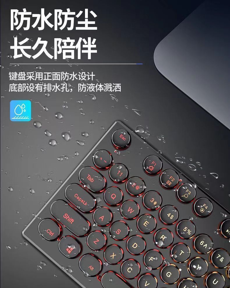 e5f5b85e-e829-4da1-8318-d0558366886c.jpe